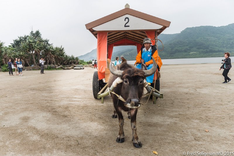 20150322_121548 D4S.jpg - Ishigaki